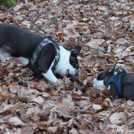 image-3444