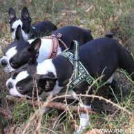 image-3454
