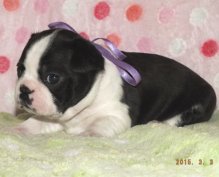 Girl 3