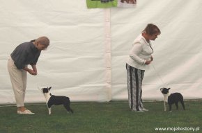 image-17314