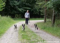 Start of holidays in Świnoujście !