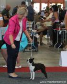 Euro Dog Show 2016