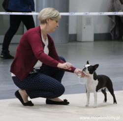 At the Dog Show in Poznan...