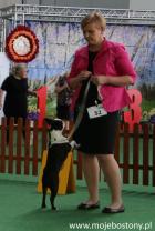 Opole Club Dog Show 2018