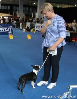 Dog Show in Szczecin