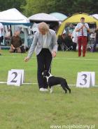 Dylan Lithuania Grand Chmapion !