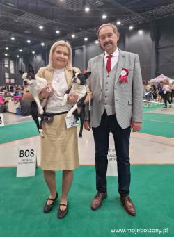 BOS CACIB RESCACIB w Bydgoszczy !