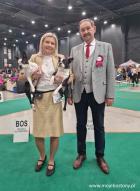 BOS CACIB RESCACIB w Bydgoszczy !