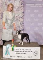 BOB Dylan in Vilnius !