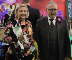Dog Show Bytom 2024