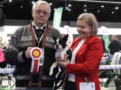 Dog Show Warszawa Nadarzyn March 2025