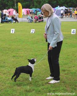 Dog Show Parnu july 2025