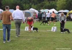 Dog Show Druskienniki August 2025