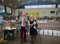 Jesienna Wystawa Nowy Dwór Mazowiecki 2025
