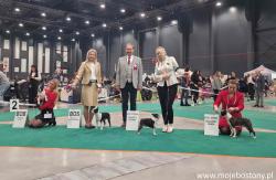 Wystawa Bydgoszcz luty 2026