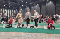 Wystawa Bydgoszcz luty 2026