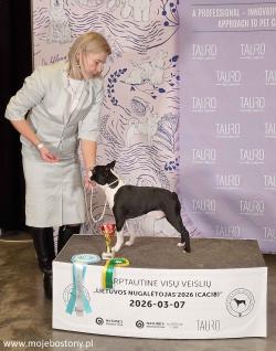 Wystawa Wilno marzec 2026