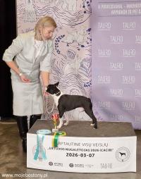 Wystawa Wilno marzec 2026