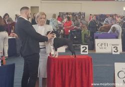 Wystawa Kowno kwiecień 2026