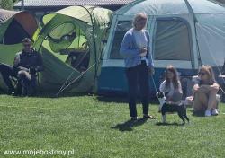 Wystawa Krosno maj 2026