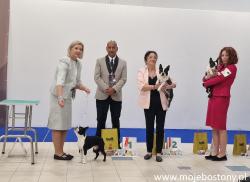 Wystawa Nadarzyn 2026
